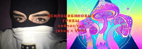 прущие крисы Абинск
