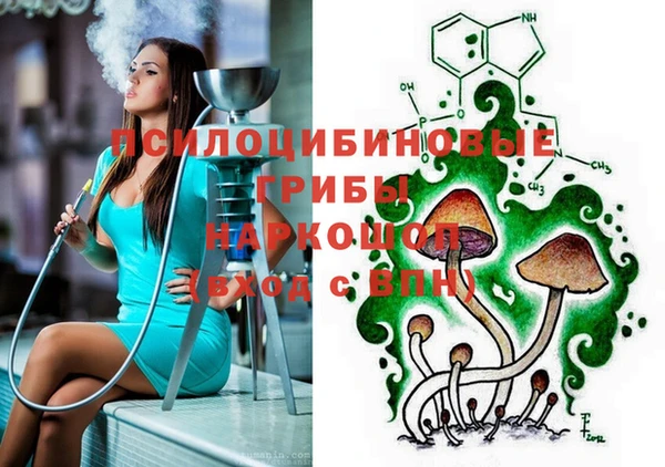 прущие крисы Абинск