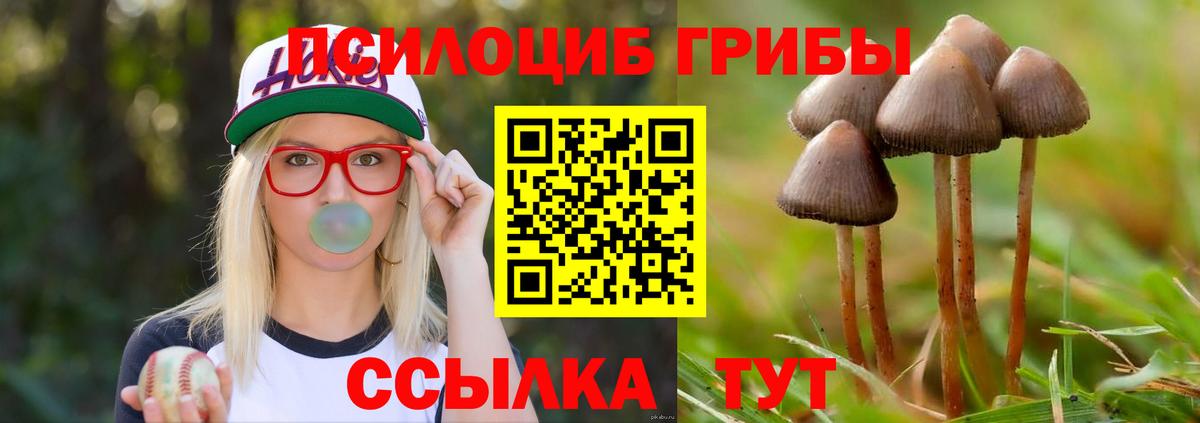 Галлюциногенные грибы мицелий  Галлюциногенные грибы Cubensis  Вход с VPN  Ярославль 